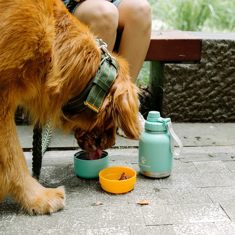 For Eco-Friendly 32oz Stainless Steel Insulated 3-in-1 Outdoor Travel Pet Feeder Dog Walking Water Bottles